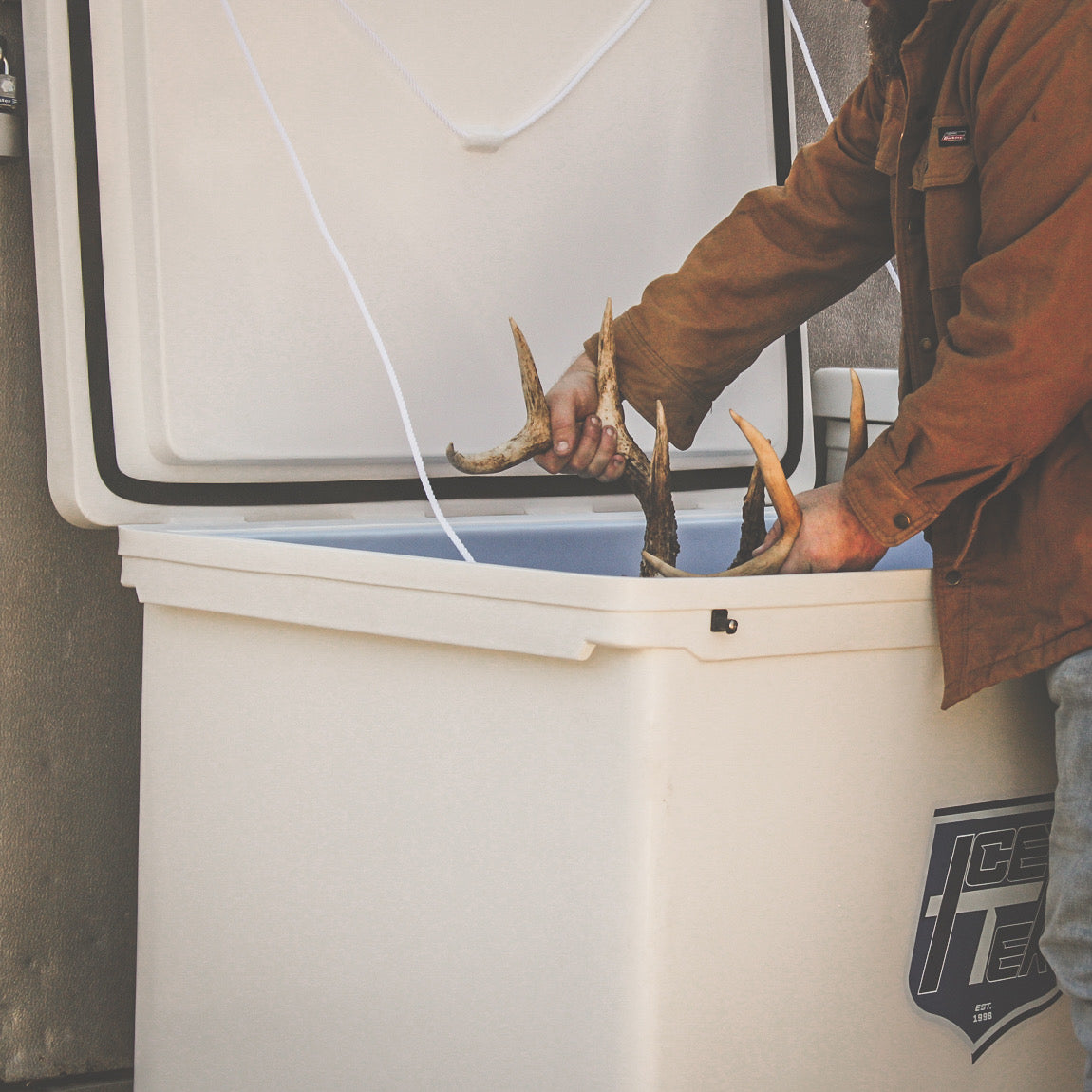 Man placing antlers in ICEY-TEK 450 Quart Cooler (FREE SHIPPING) for outdoor storage.