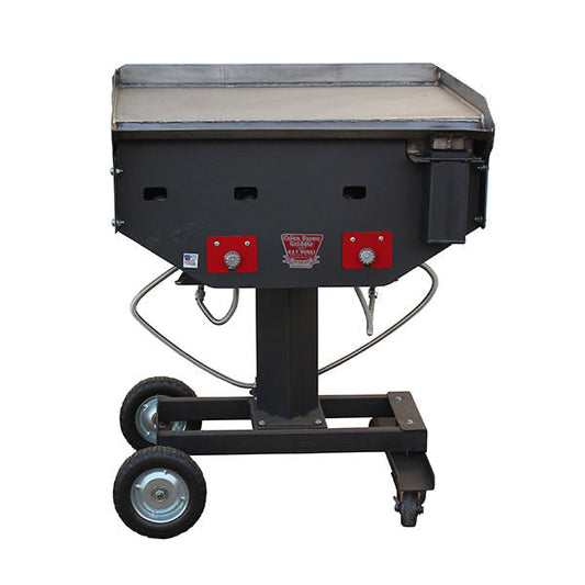 R&V Works CBG LG 30” Stainless Steel Flat Griddle on wheeled stand with dual temperature controls for outdoor grilling.