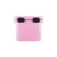 ICEY-TEK 25 Quart Cooler